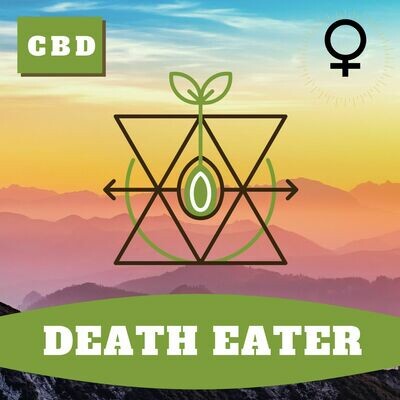 Death Eater (F) Seeds - 30 seeds Death Eater (F) Seeds - 30 seeds