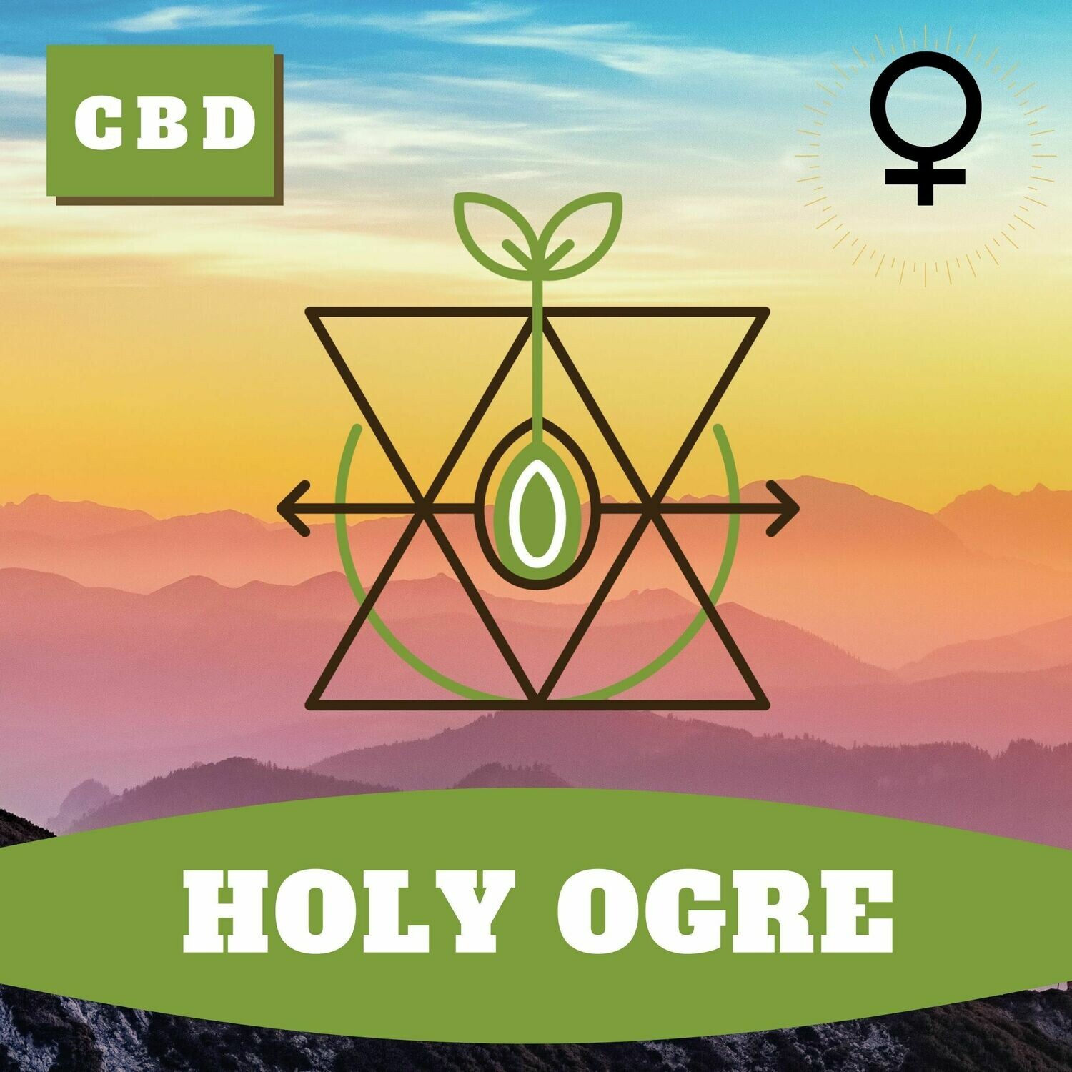 Holy Ogre (F)