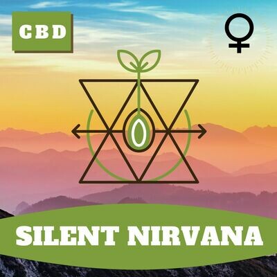 Silent Nirvana (F) Seeds Silent Nirvana (F) Seeds
