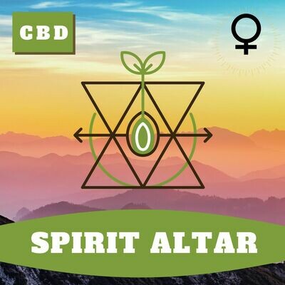 Spirit Altar (F) Seeds Spirit Altar (F) Seeds