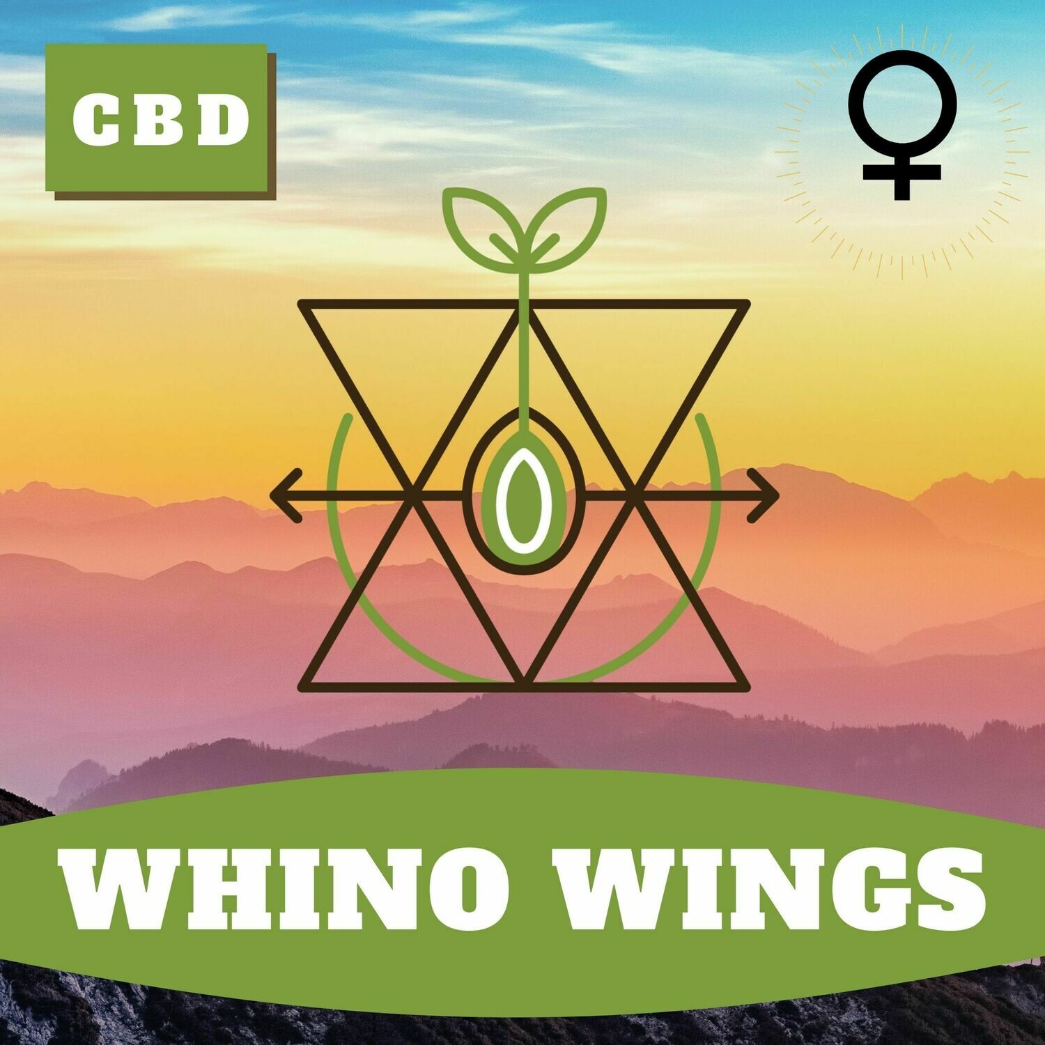 Whino Wings (F) Seeds