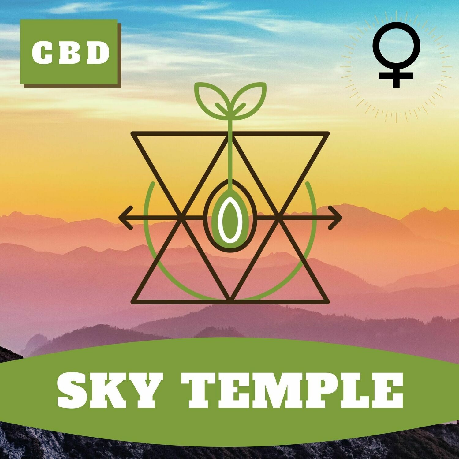 Sky Temple (F) Seeds