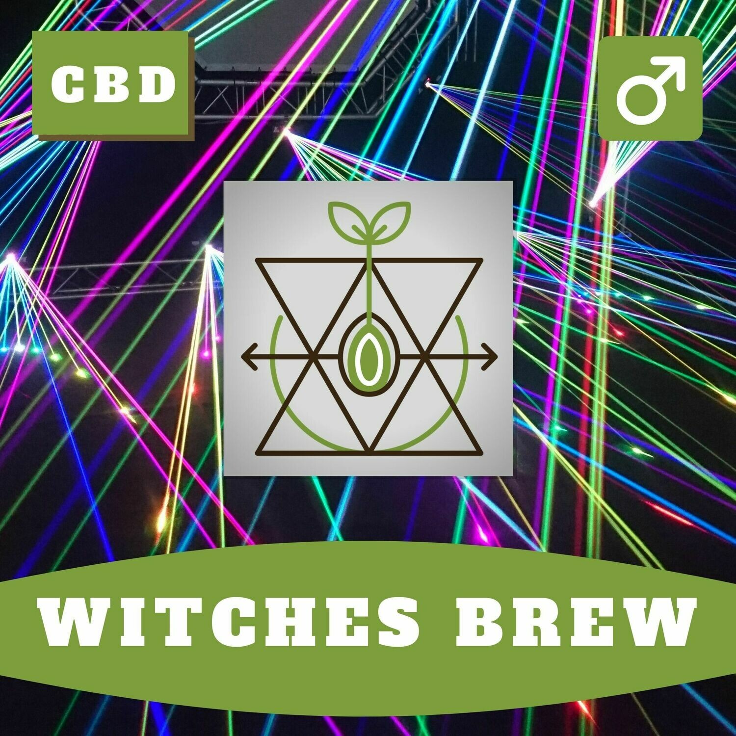 Witches Brew 15 (R) Seeds Witches Brew 15 (R) Seeds