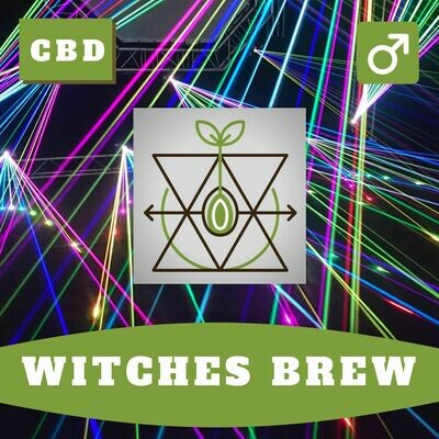 Witches Brew 15 (R) Seeds Witches Brew 15 (R) Seeds