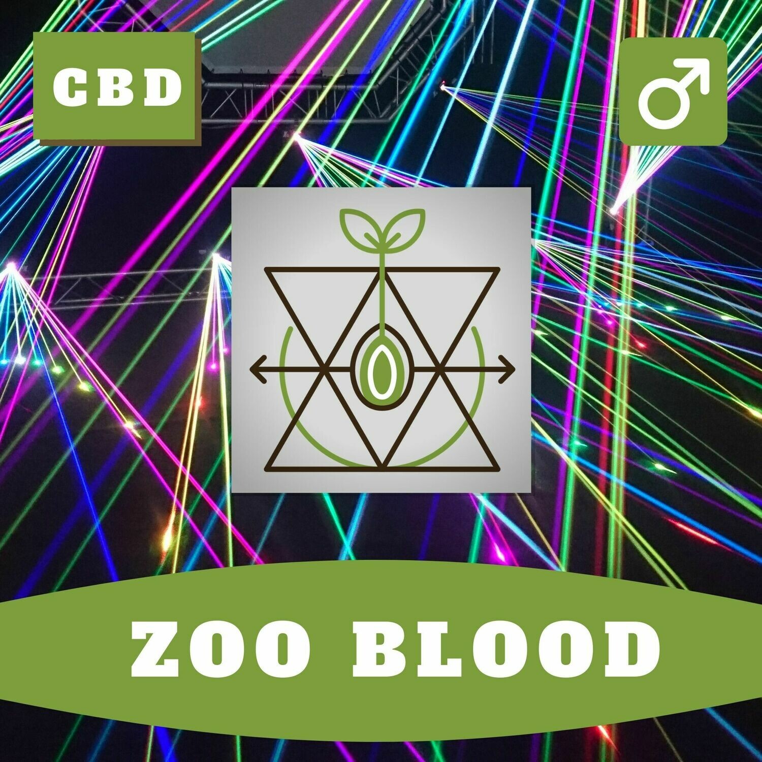 Zoo Blood 15 (R) Seeds Zoo Blood 15 (R) Seeds
