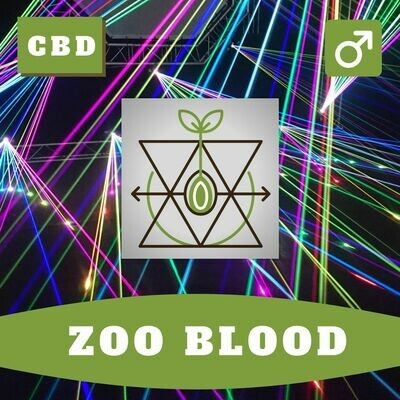 Zoo Blood 15 (R) Seeds Zoo Blood 15 (R) Seeds