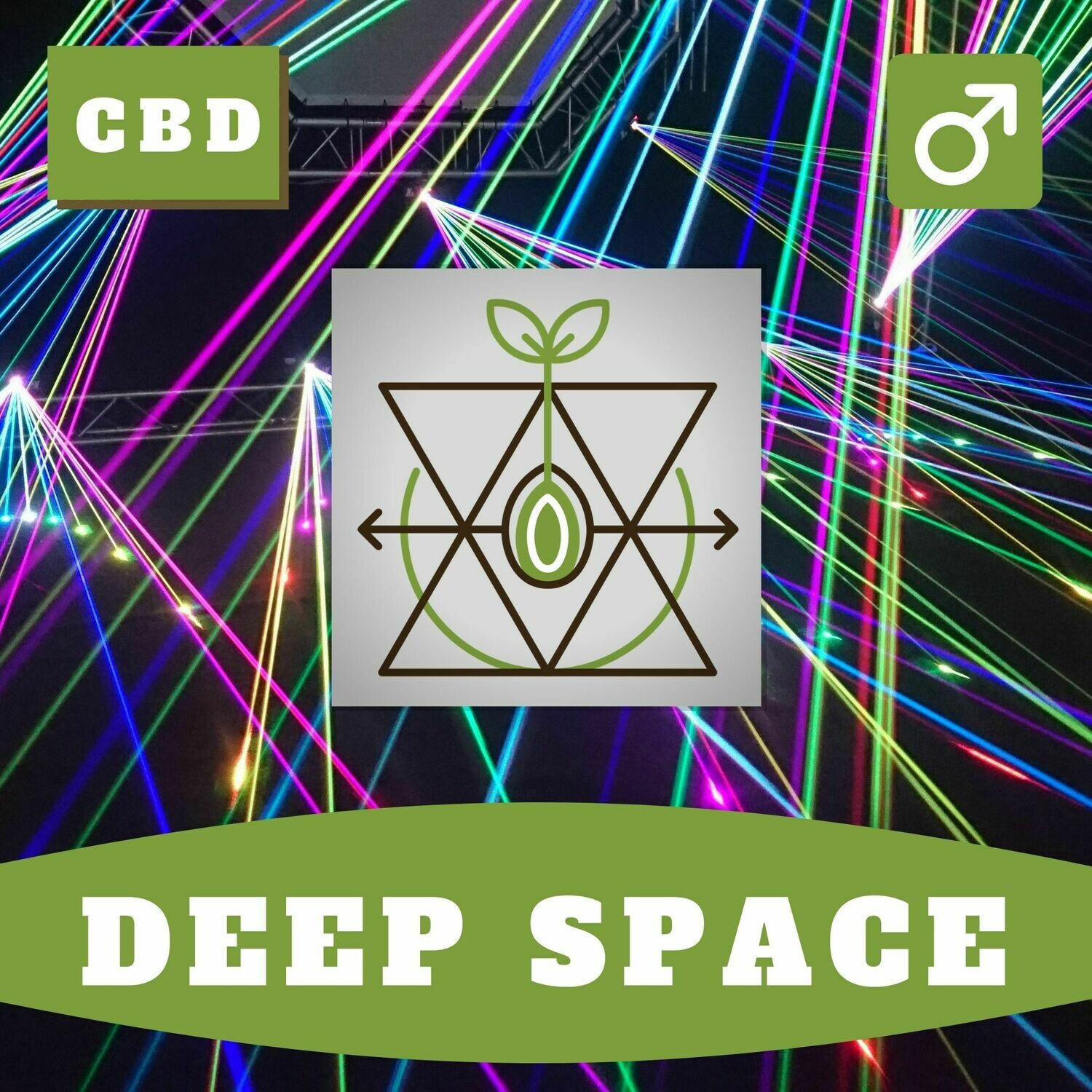 Deep Space 15 (R) Seeds
