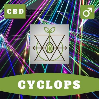 Cyclops 15 (R) Seeds