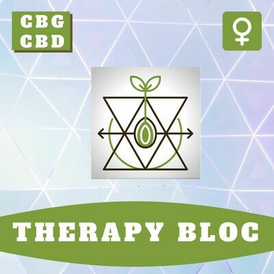 Therapy Bloc