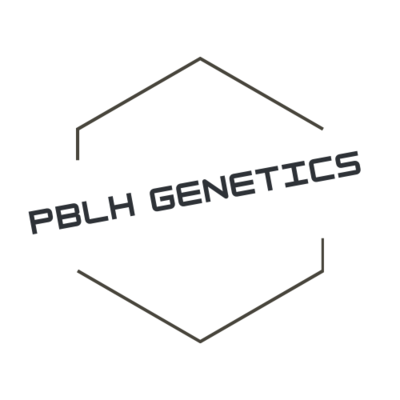 PBLH Genetics