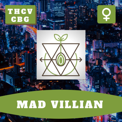 Mad Villian