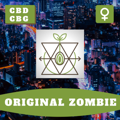 Original Zombie Kush (OZ Kush) - 15 (F) Seeds