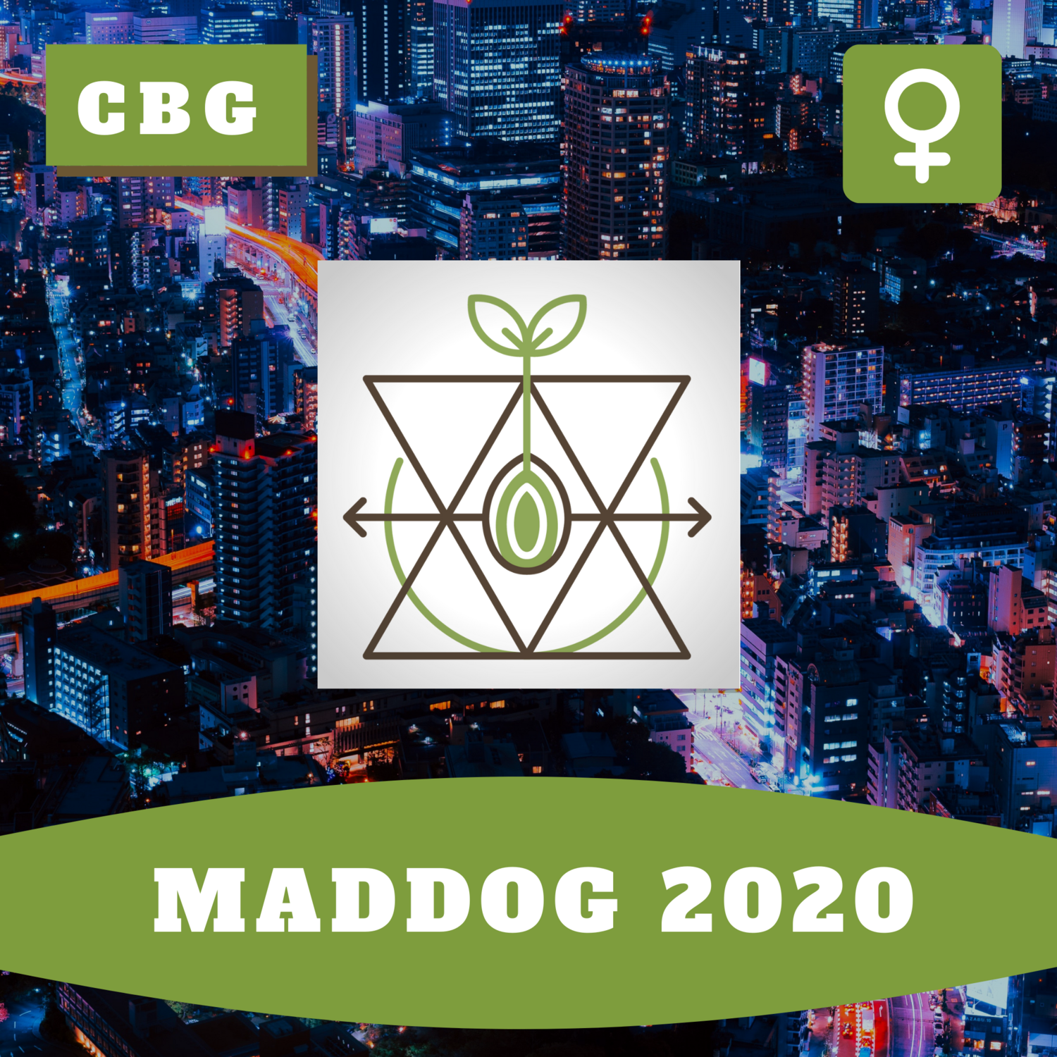Mad Dog 2020 CBG (F) Mad Dog 2020 CBG (F)