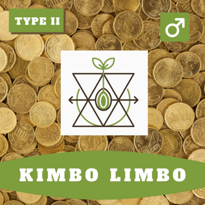 Kimbo Limbo