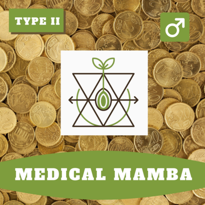 Medical Mamba