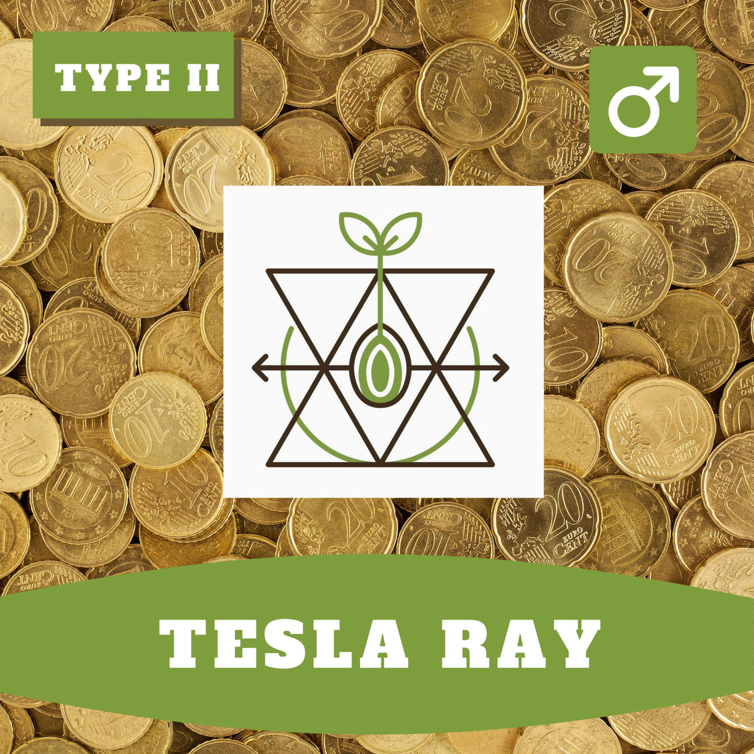 Tesla Ray