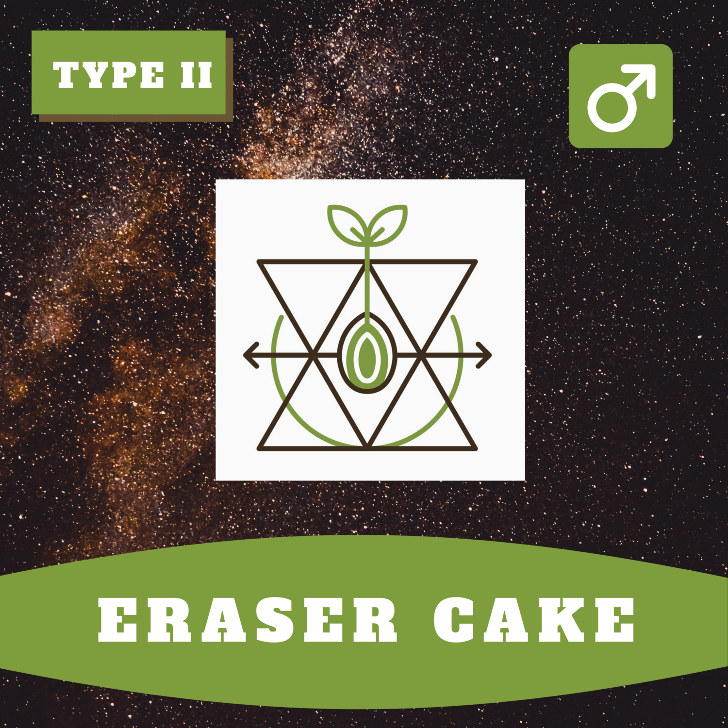 Eraser Cake 15 (R) Seeds Eraser Cake 15 (R) Seeds