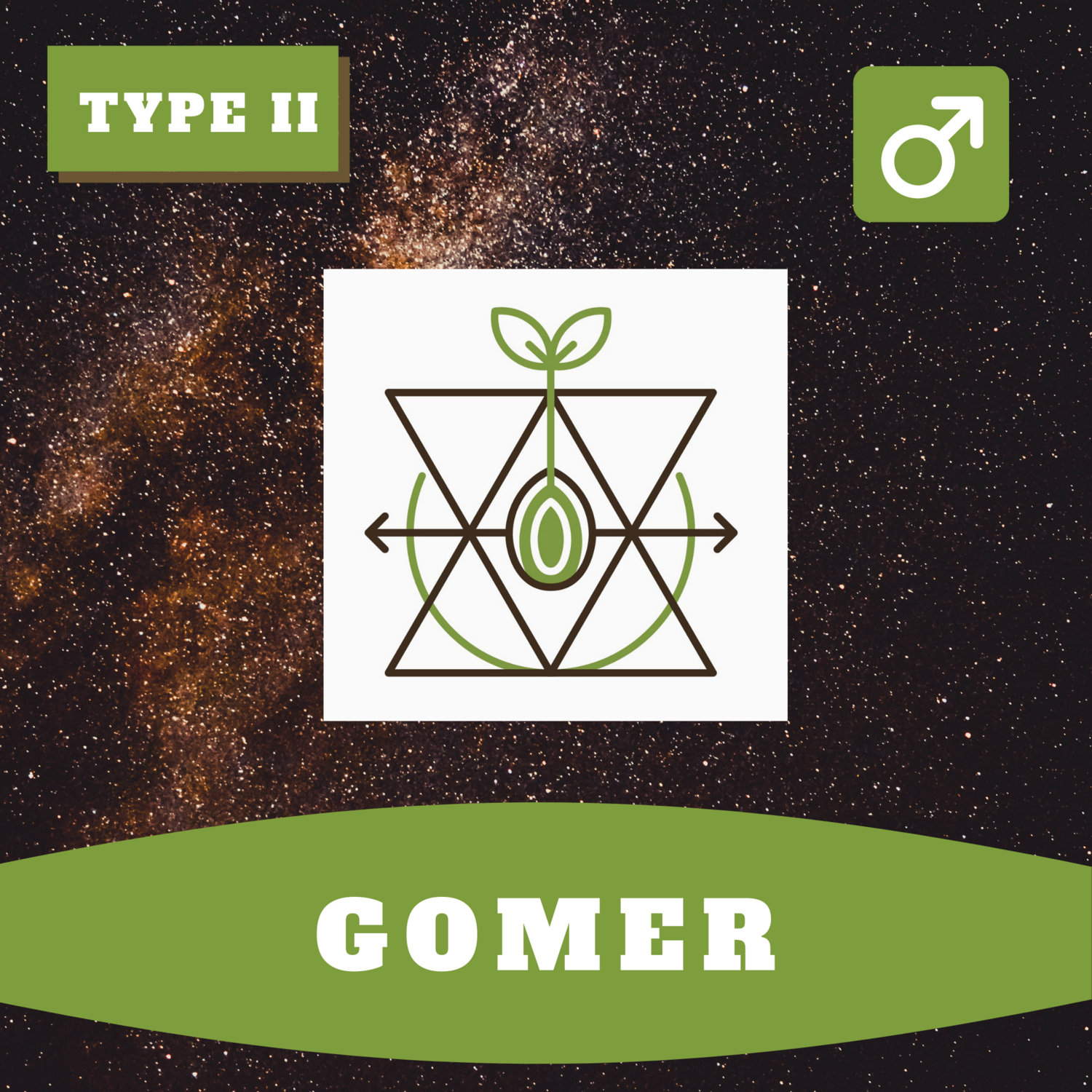 Gomer 15 (R) Seeds Gomer 15 (R) Seeds