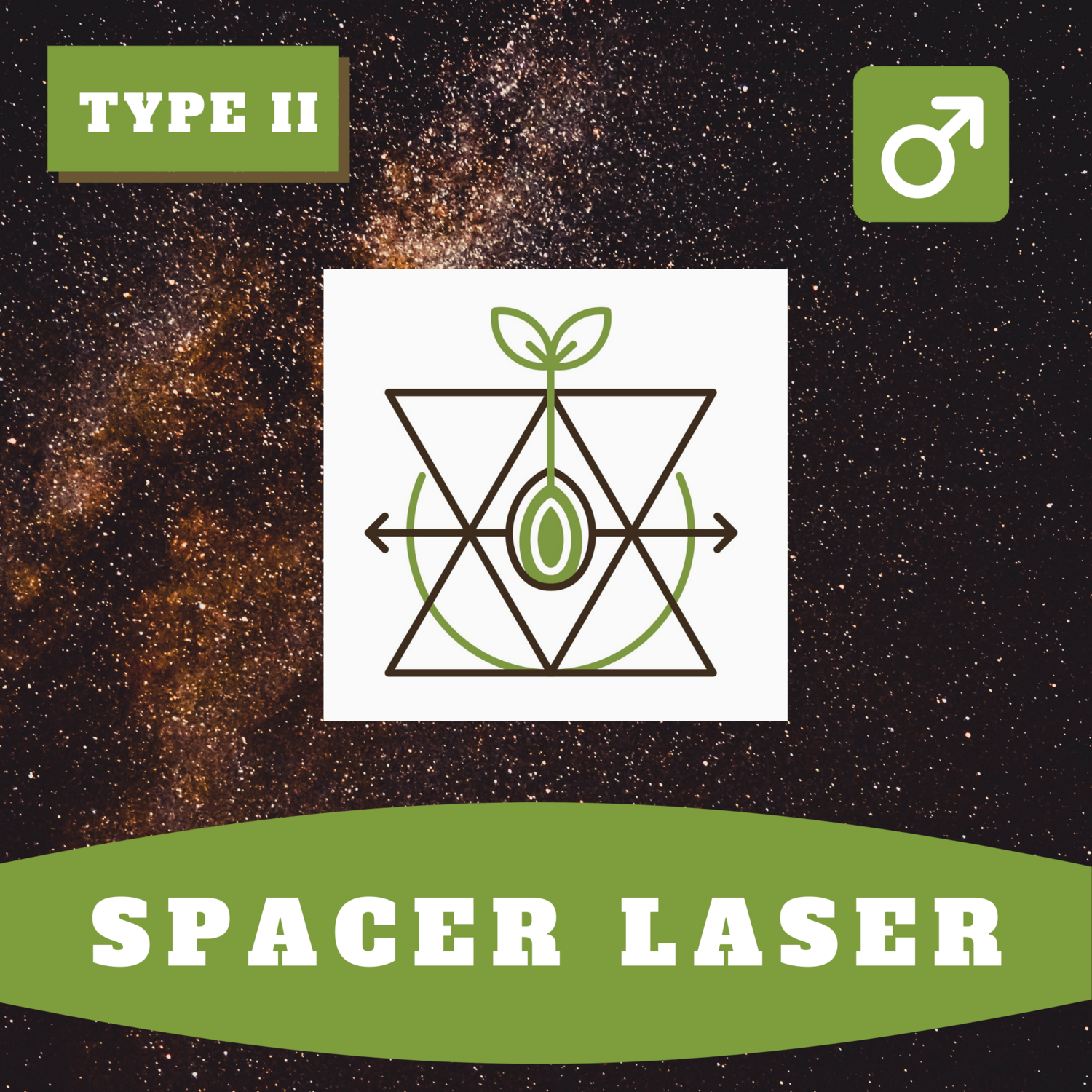 Spaser Laser 15 (R) Seeds Spaser Laser 15 (R) Seeds