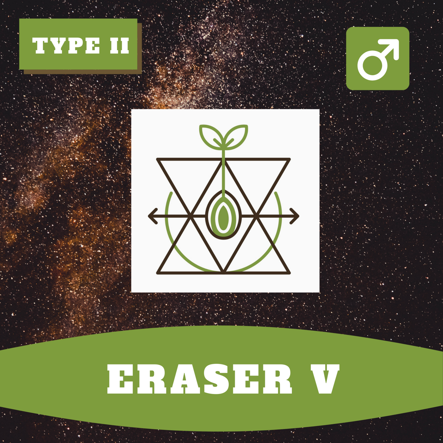 Eraser V 15 (R) Seeds