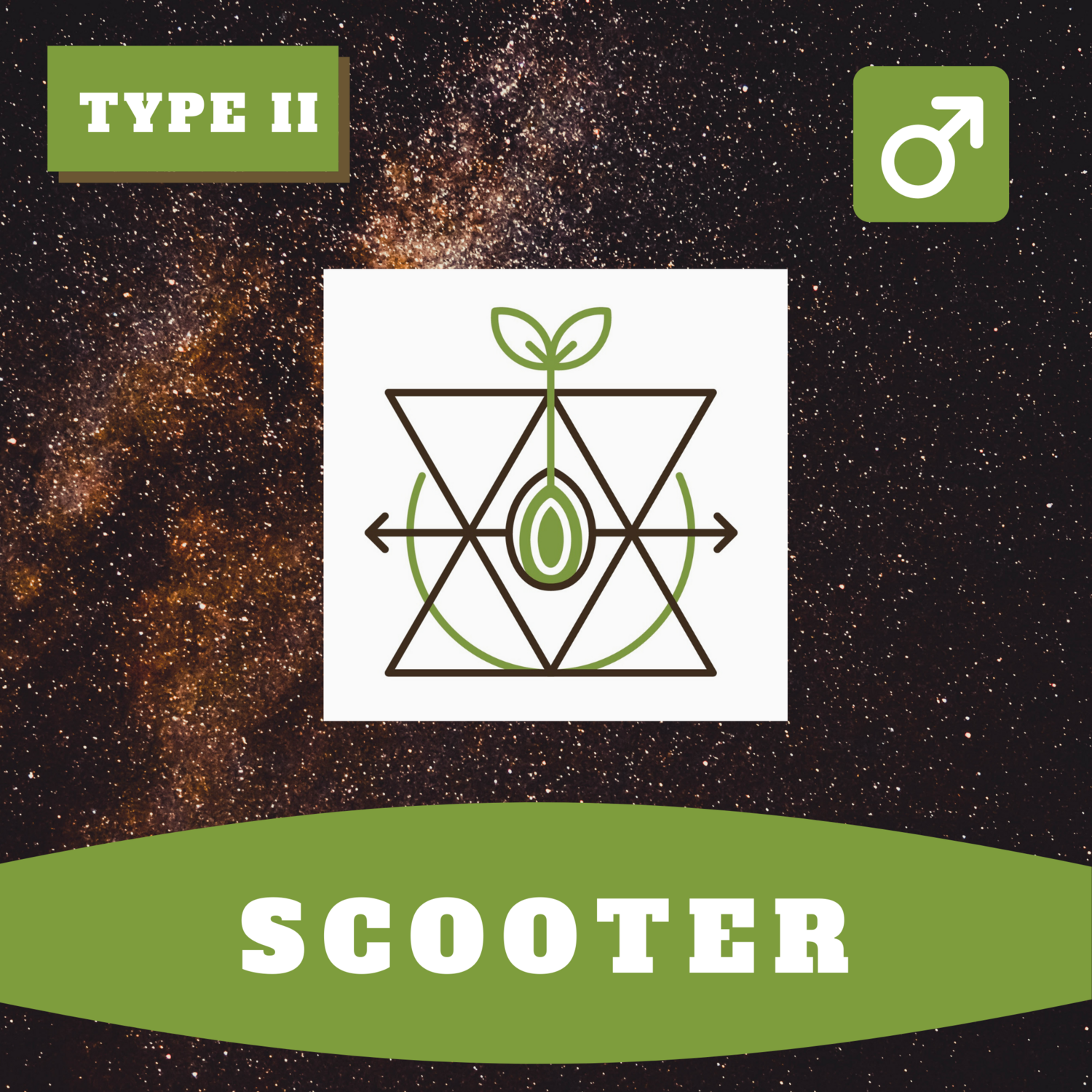 Scooter 15 (R) Seeds