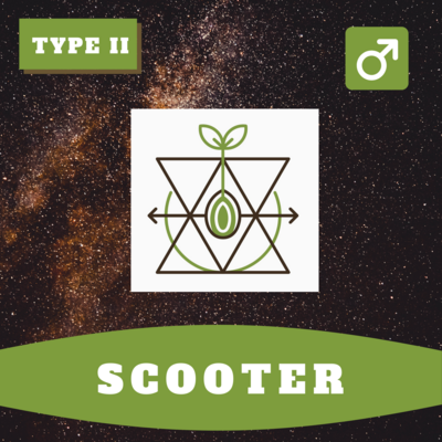 Scooter 15 (R) Seeds