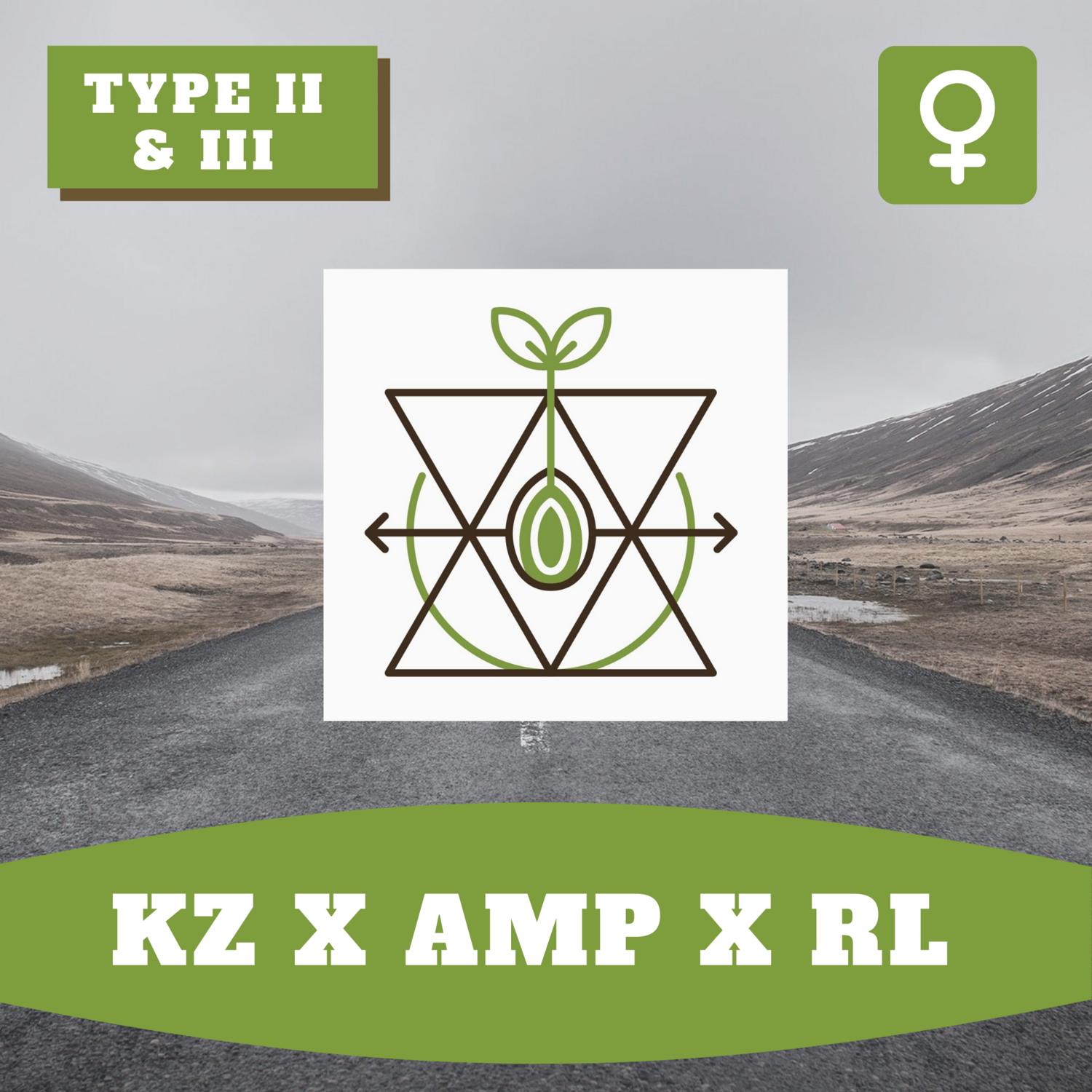 KZ x AMP x RL
