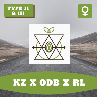 KZ x ODB x RL