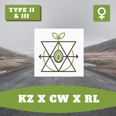 KZ x CW x RL