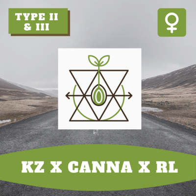 KZ x CANNA x RL