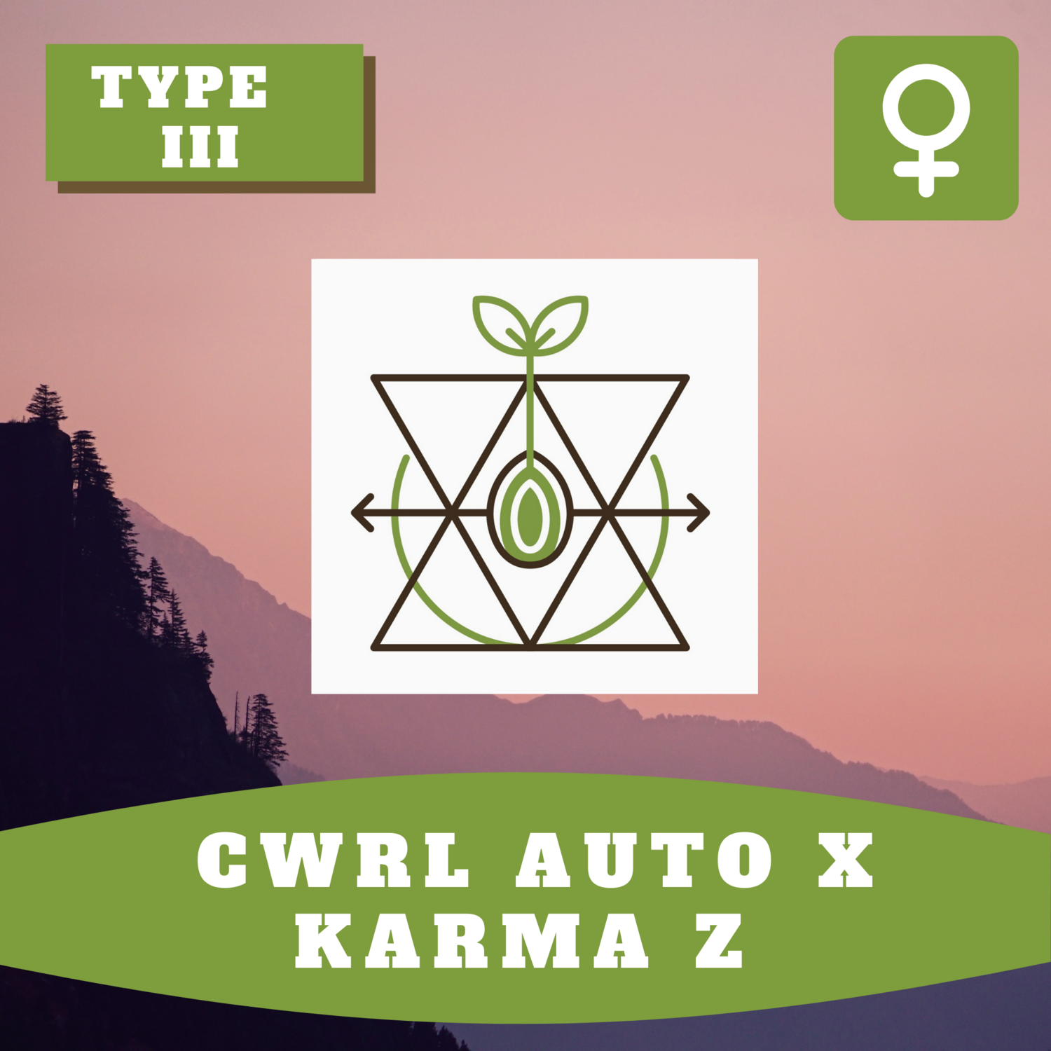 CWRL Semi-Auto X Karma Z - 30 (F) Seeds CWRL Semi-Auto X Karma Z - 30 (F) Seeds