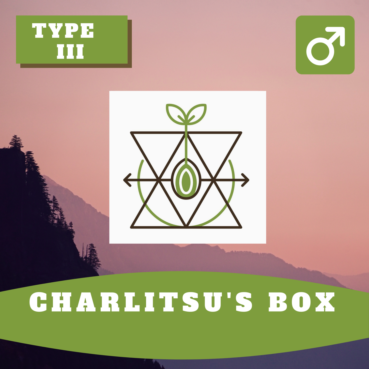 Charlitsu's Box - 30 (R) Seeds Charlitsu's Box - 30 (R) Seeds