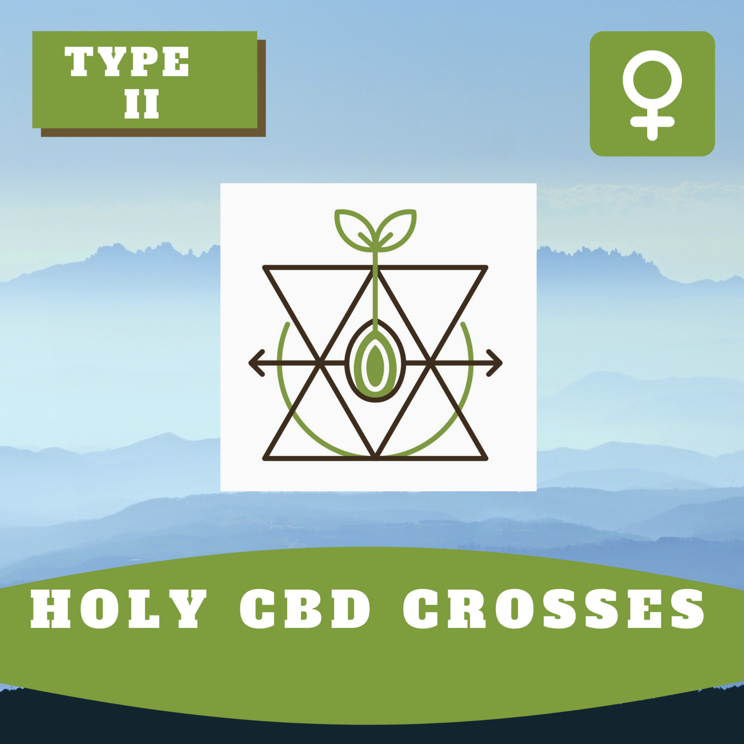Holy CBD Crosses - 15 (R) Seeds Holy CBD Crosses - 15 (R) Seeds