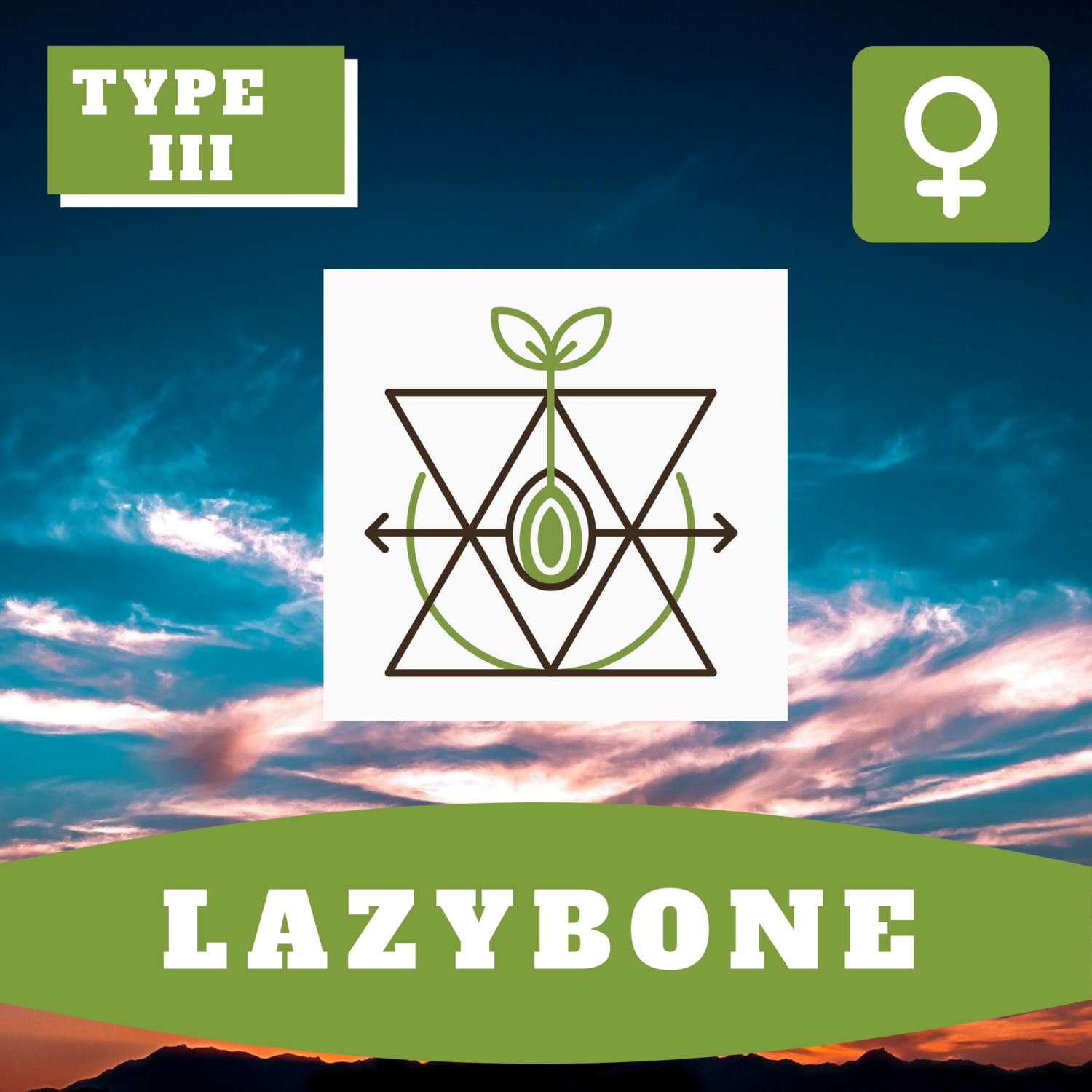 Lazybone (F)