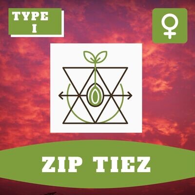 Zip Tiez - 10 (F) Seeds