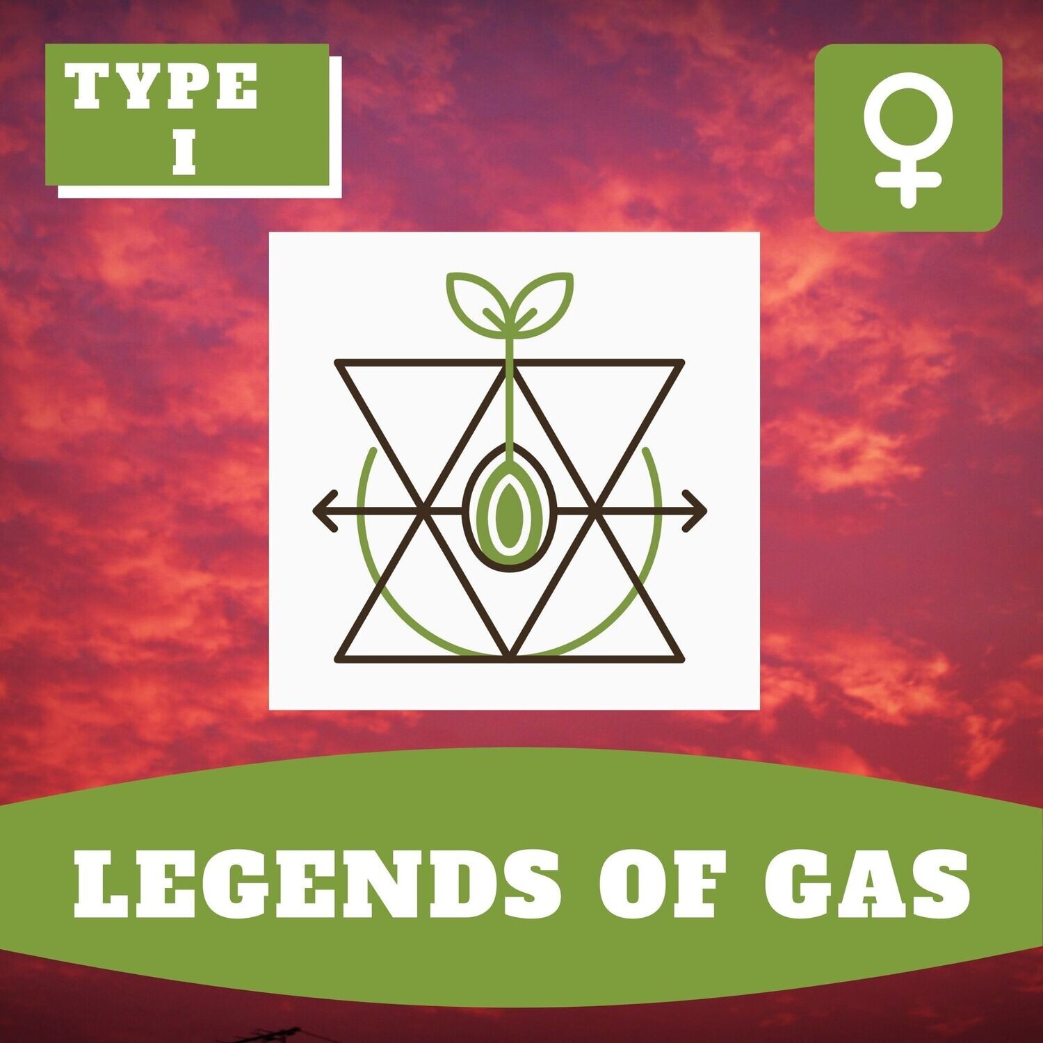 Legends of Gas - 10 (F) Seeds Legends of Gas - 10 (F) Seeds