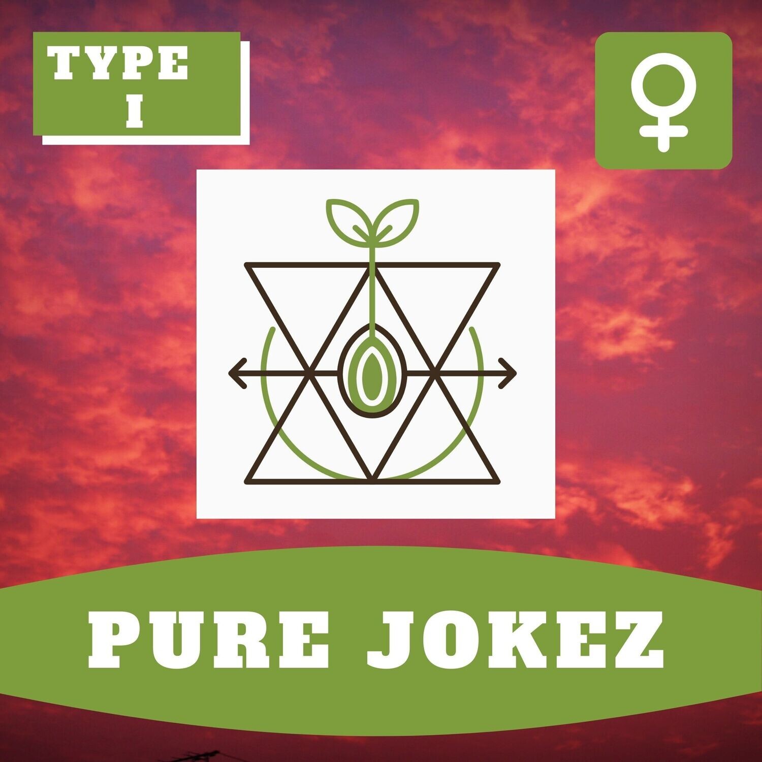 Pure Jokez - 10 (F) Seeds