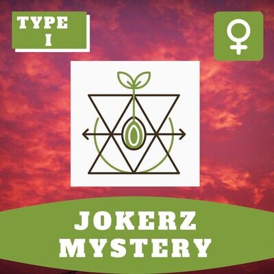 Jokerz Mystery - 10 (F) Seeds