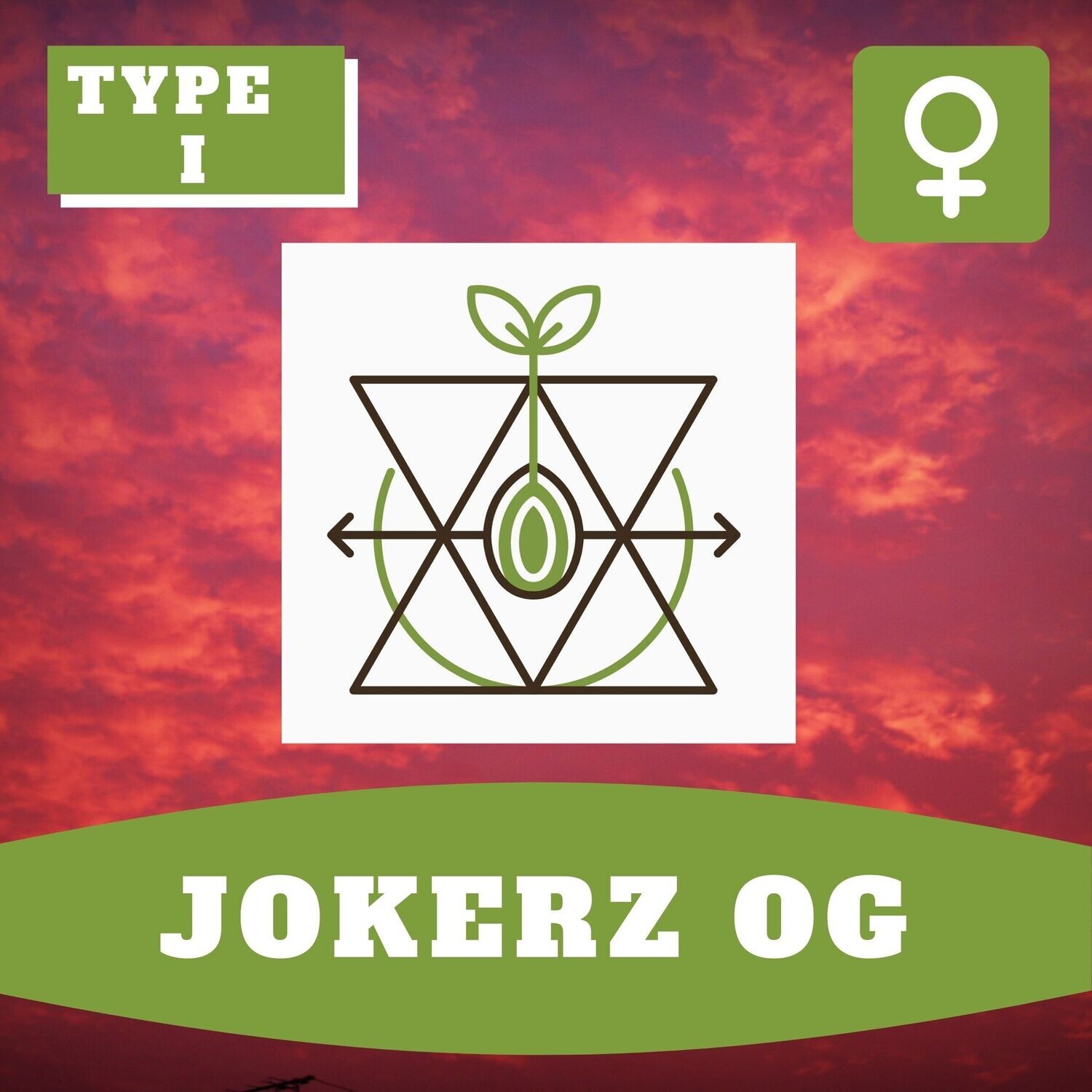Jokerz OG - 10 (F) Seeds