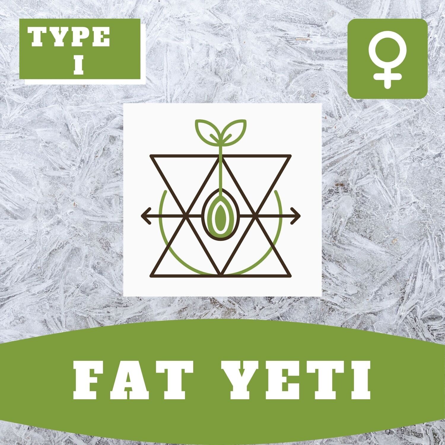 Fat Yeti - 10 (F) Seeds