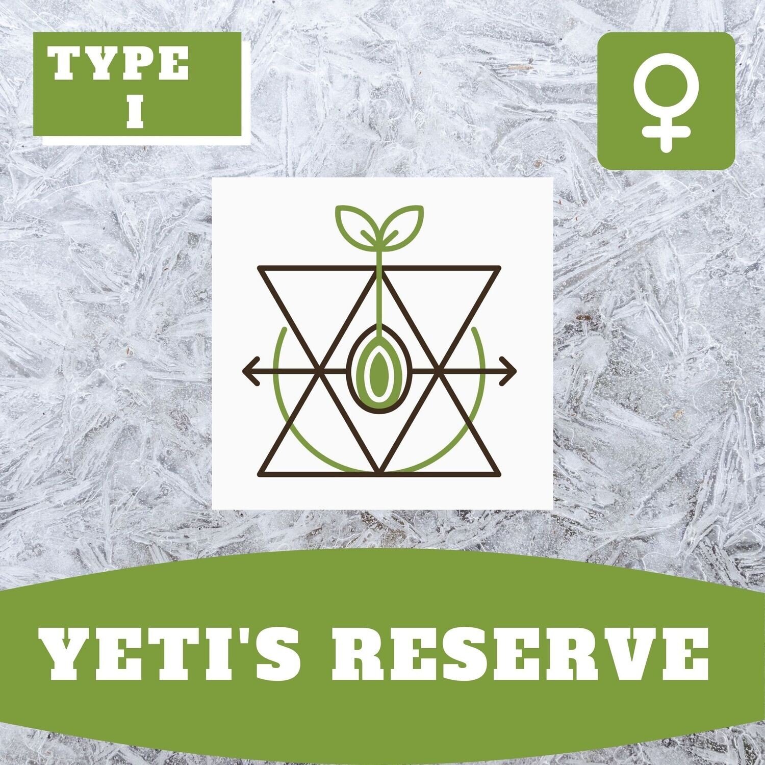 Yeti’s Reserve - 10 (F) Seeds