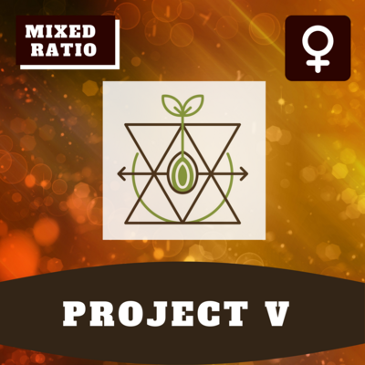 Project V