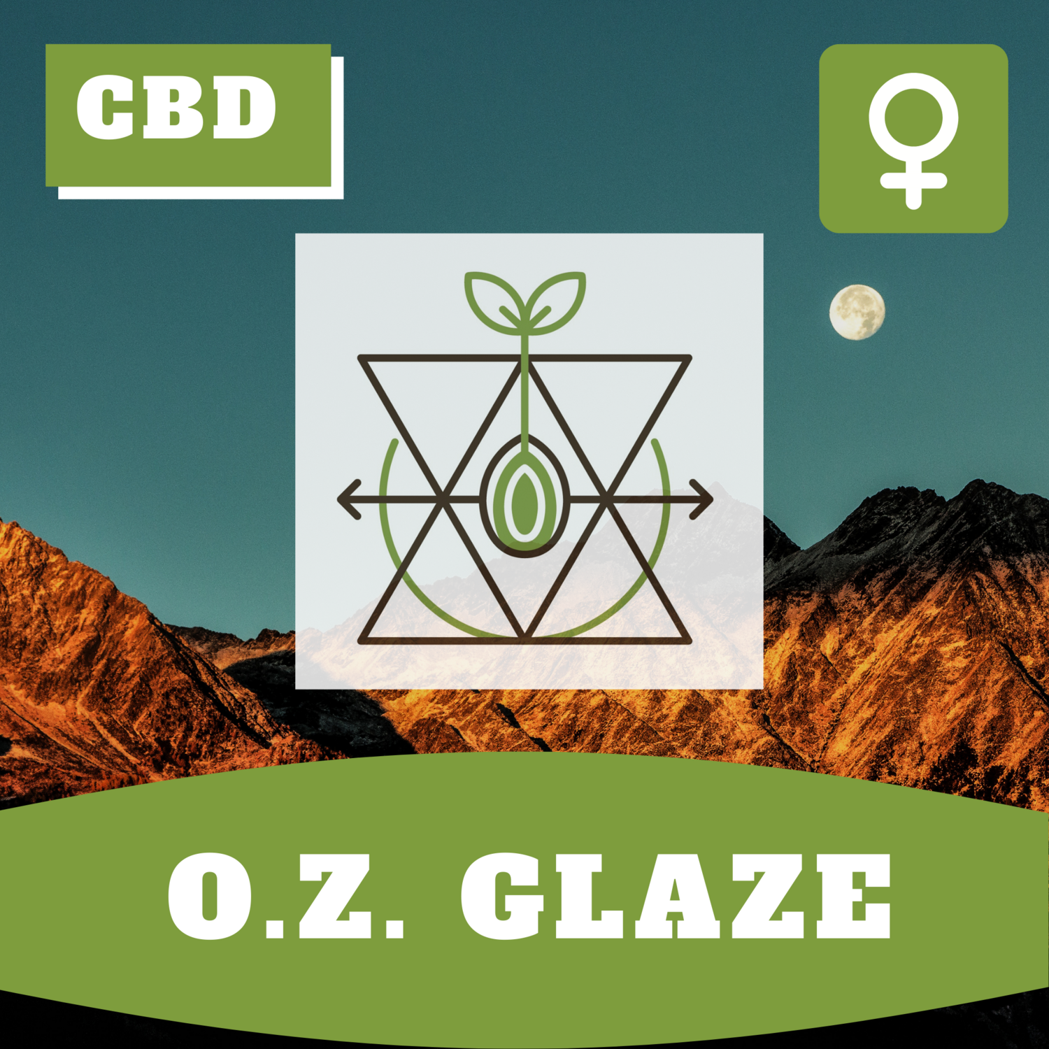 O.Z. Glaze