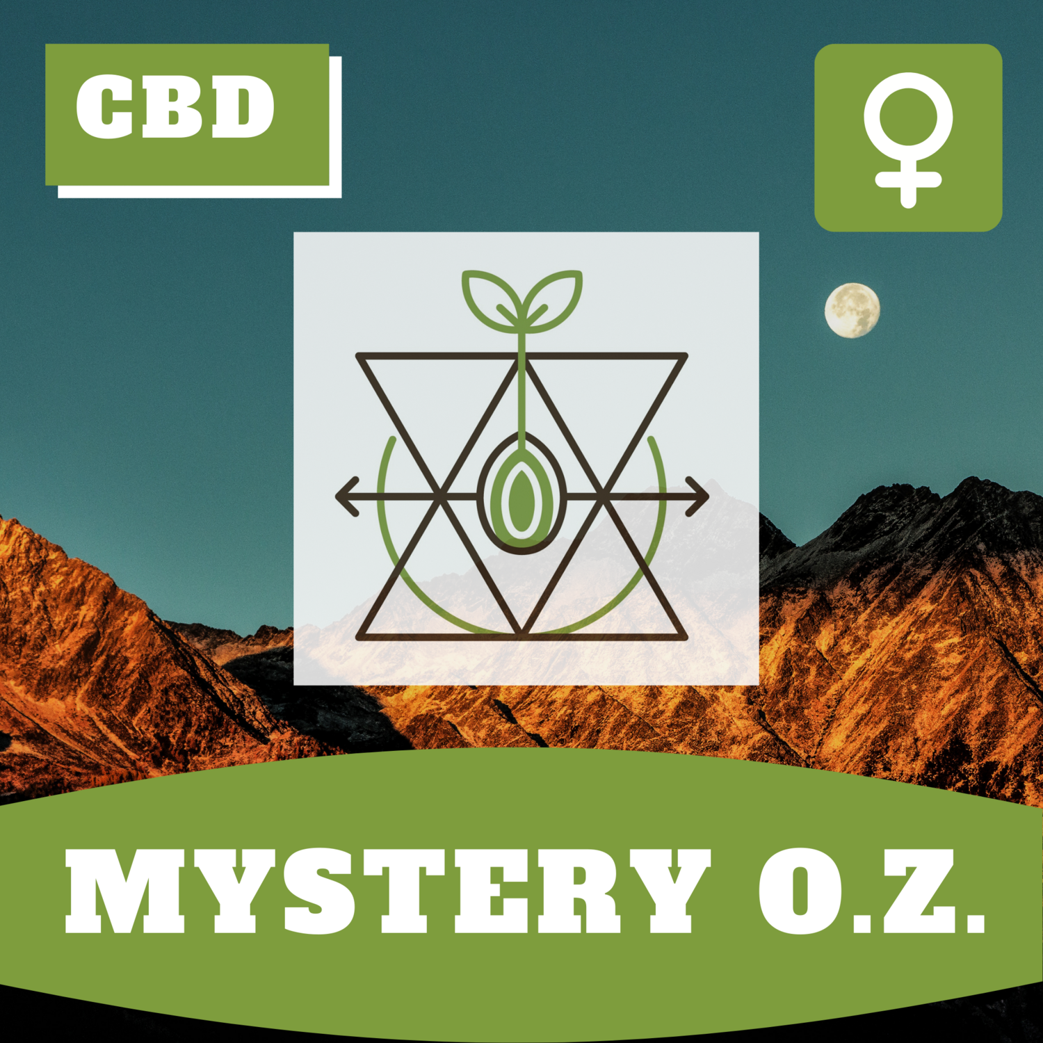 Mystery O.Z. Mystery O.Z.