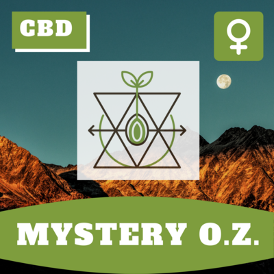 Mystery O.Z.
