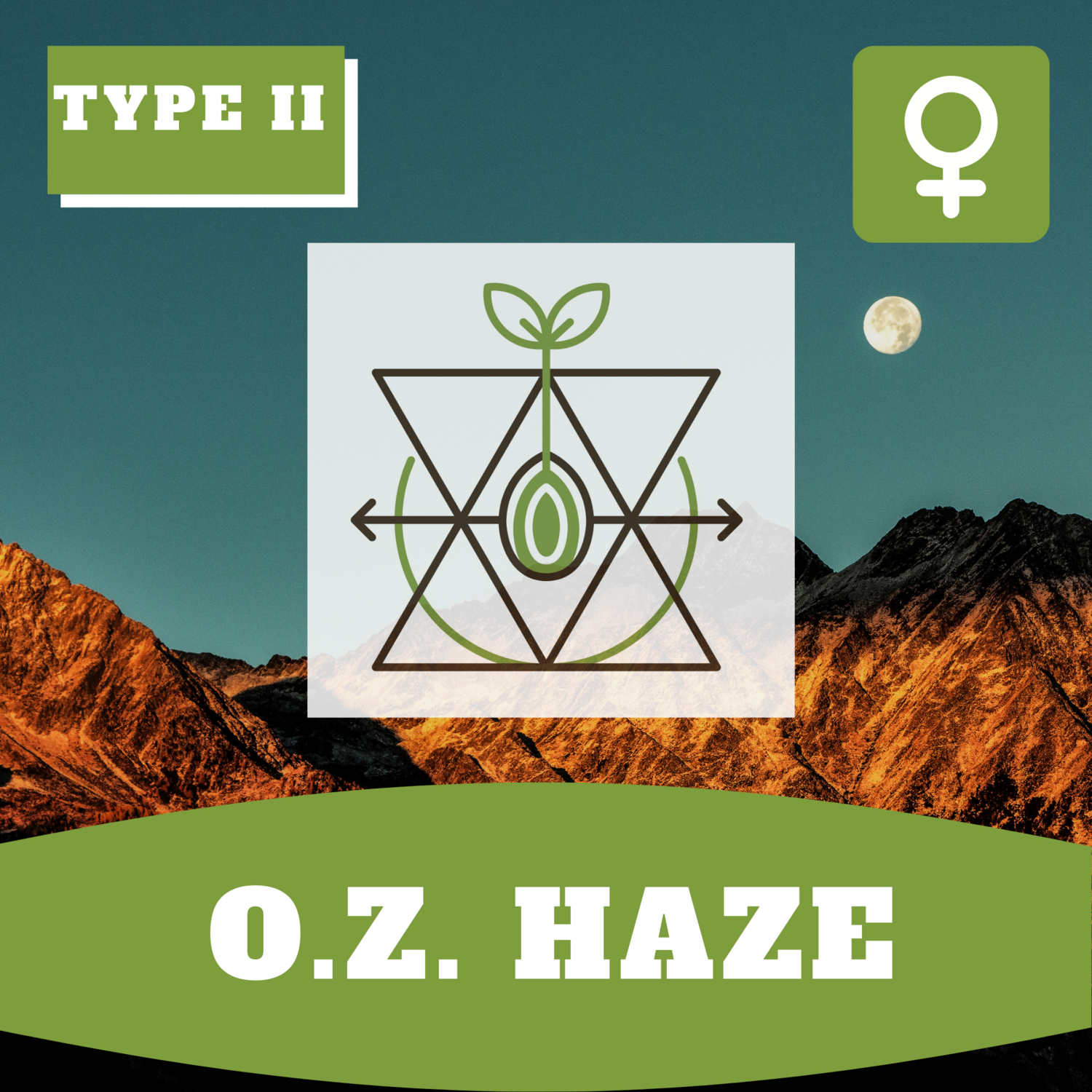 O.Z. Haze