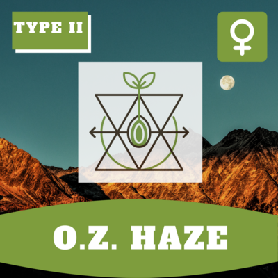 O.Z. Haze