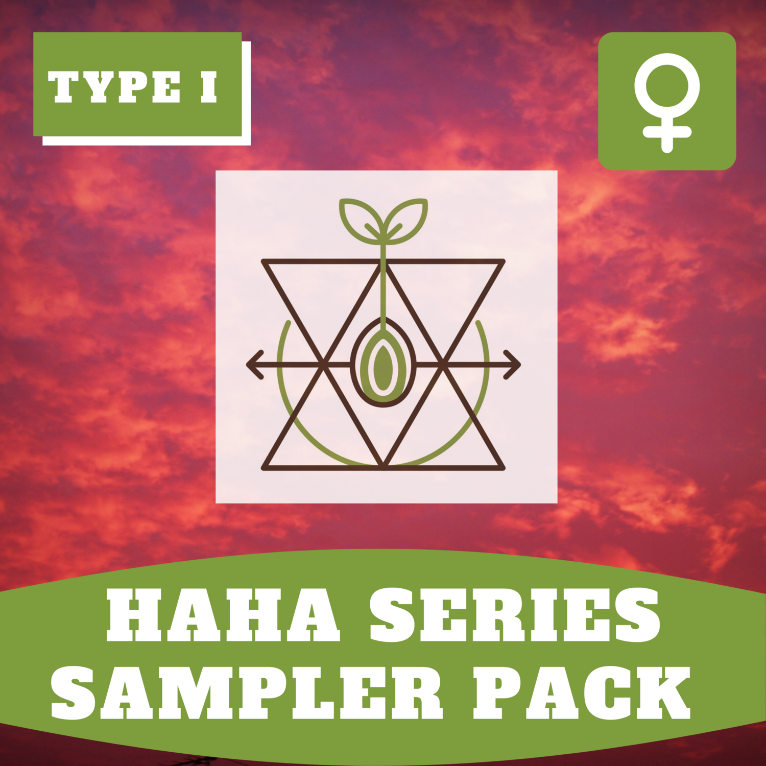 **HaHa Series Sampler Pack - You Pick 3 Strains - 5 Seeds Each**