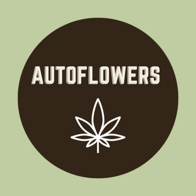 Autoflower & Autoflower Crosses