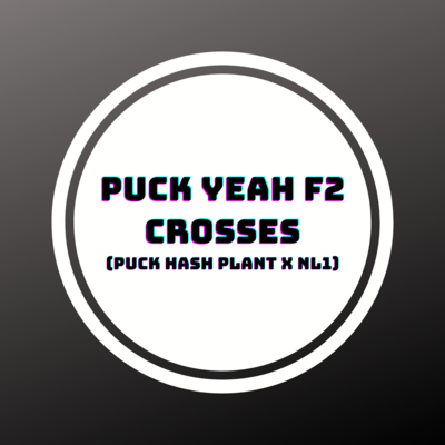 Puck Yeah F2 Crosses